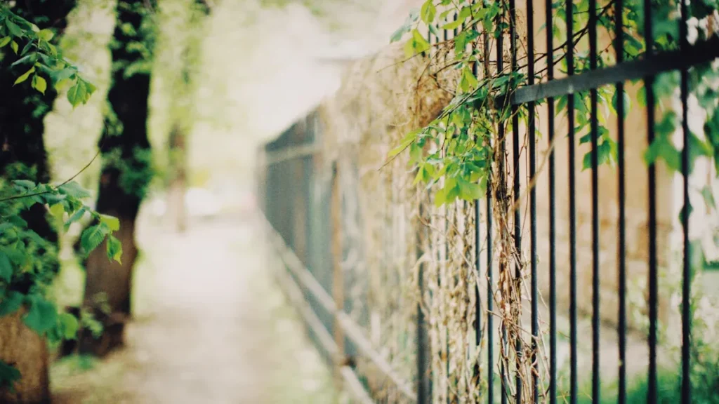 Nature-Inspired Privacy Fence Ideas